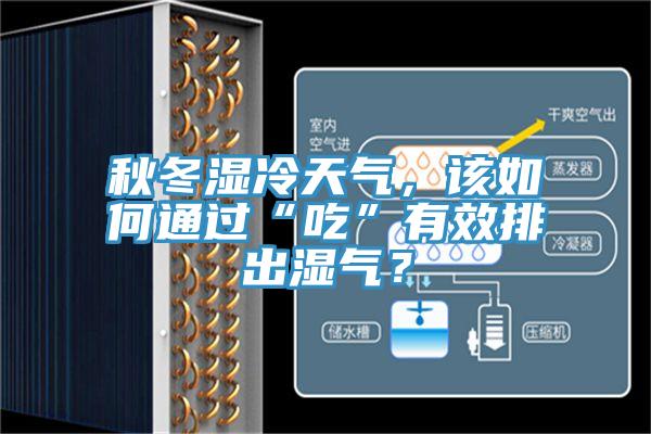 秋冬湿冷天气，该如何通过“吃”有效排出湿气？