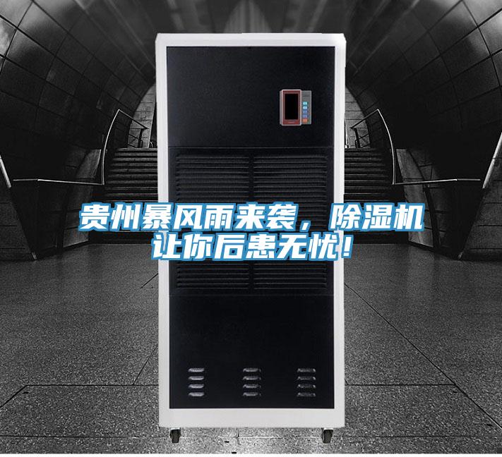 贵州暴风雨来袭，抖音成人版下载让你后患无忧！