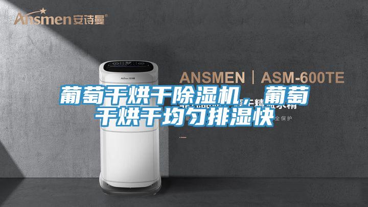 葡萄干烘干抖音成人版下载，葡萄干烘干均匀排湿快