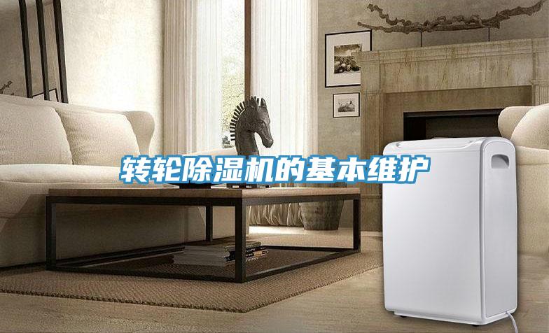 转轮抖音成人版下载的基本维护