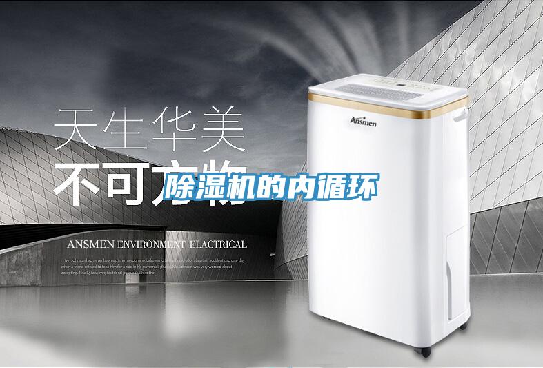 抖音成人版下载的内循环