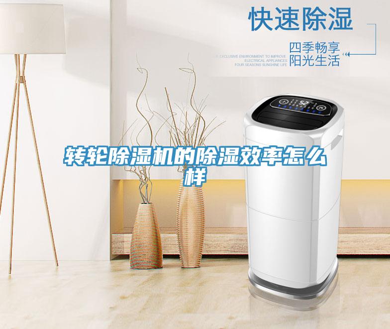 转轮抖音成人版下载的除湿效率怎么样