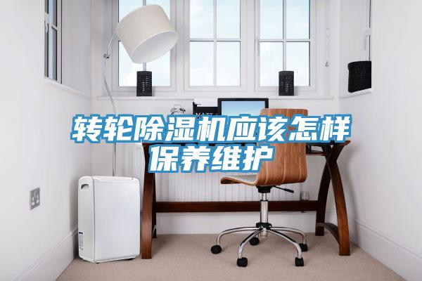 转轮抖音成人版下载应该怎样保养维护