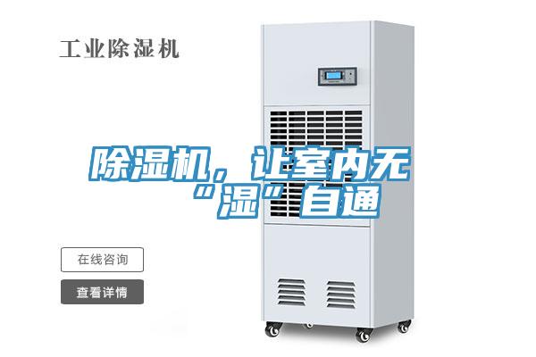 抖音成人版下载，让室内无“湿”自通