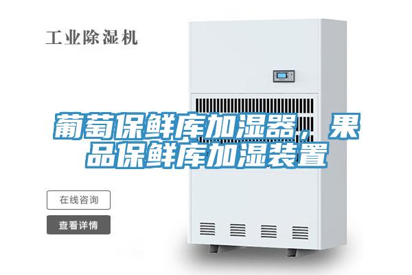 葡萄保鲜库加湿器，果品保鲜库加湿装置