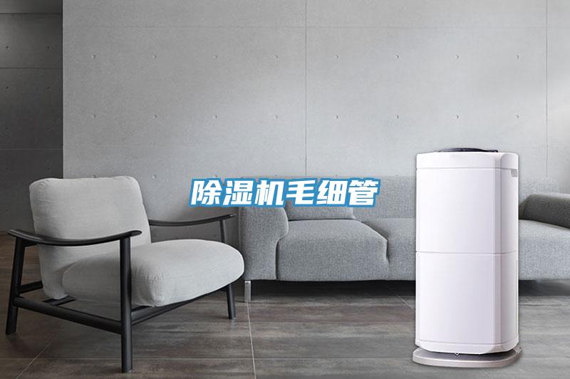 抖音成人版下载毛细管