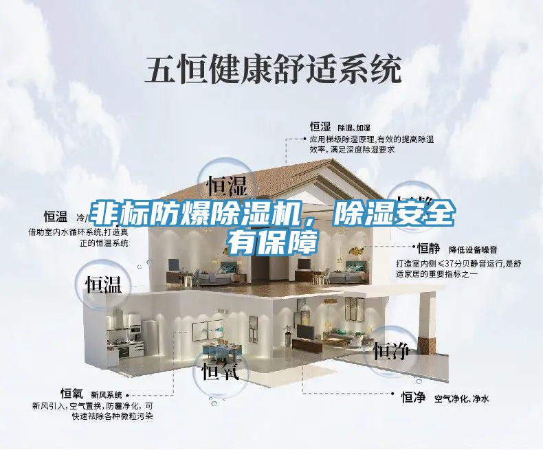 非标防爆抖音成人版下载，除湿安全有保障