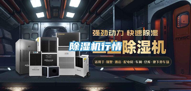 抖音成人版下载行情