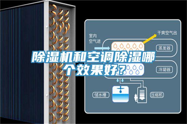 抖音成人版下载和空调除湿哪个效果好？