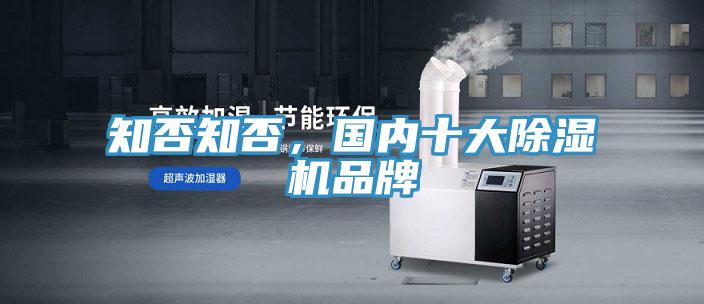 知否知否，国内十大抖音成人版下载品牌