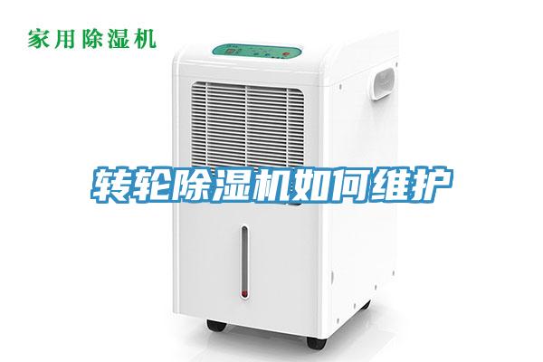 转轮抖音成人版下载如何维护