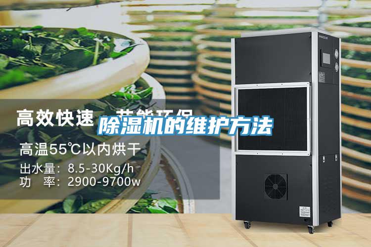 抖音成人版下载的维护方法