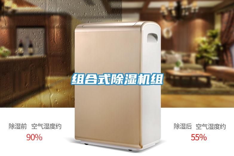 组合式抖音成人版下载组