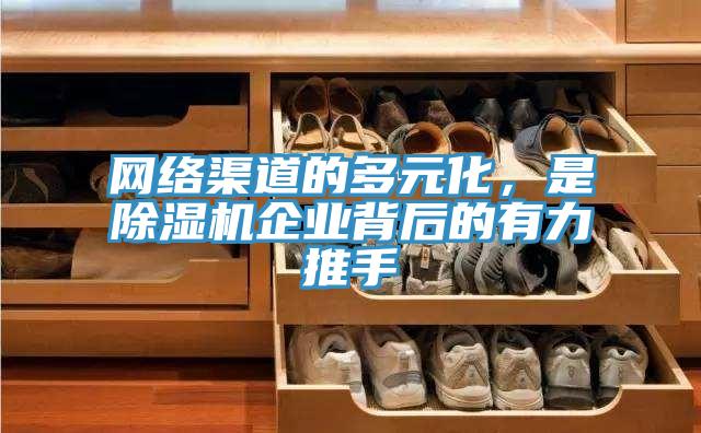 网络渠道的多元化，是抖音成人版下载企业背后的有力推手