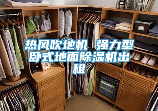 热风吹地机 强力型卧式地面抖音成人版下载出租