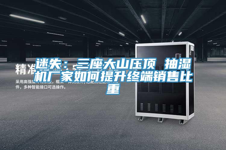 迷失：三座大山压顶 抽湿机厂家如何提升终端销售比重