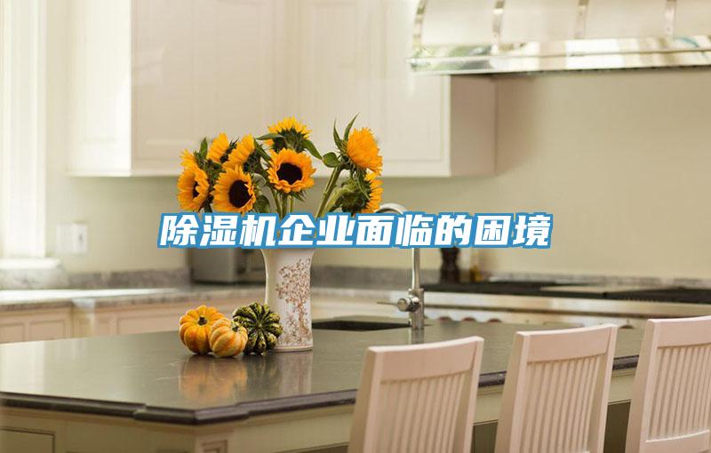 抖音成人版下载企业面临的困境