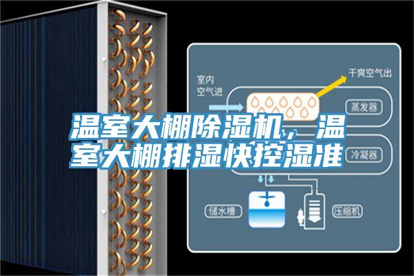 温室大棚抖音成人版下载，温室大棚排湿快控湿准