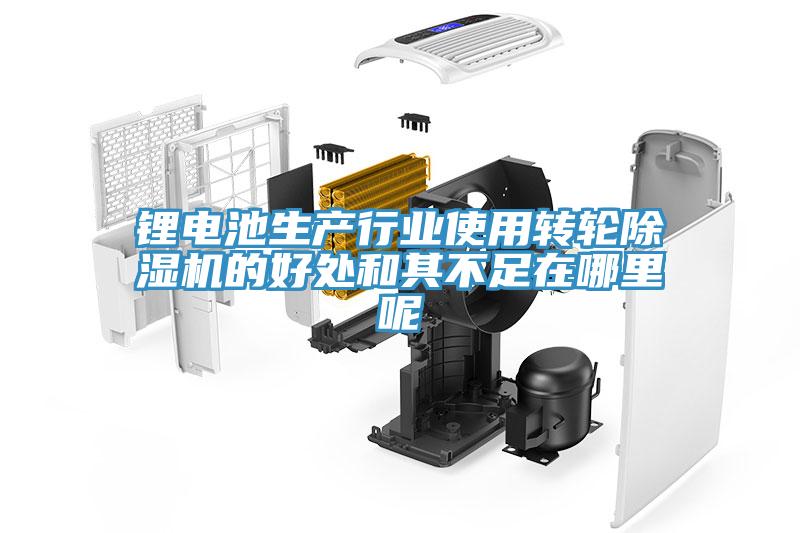 锂电池生产行业使用转轮抖音成人版下载的好处和其不足在哪里呢