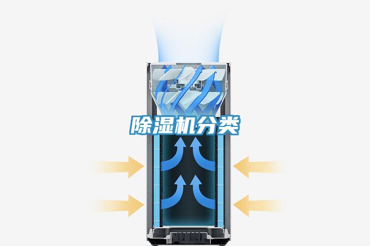 抖音成人版下载分类