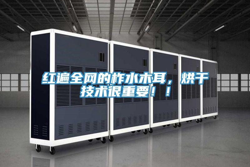 红遍全网的柞水木耳，烘干技术很重要！！