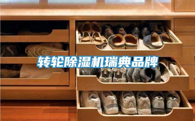 转轮抖音成人版下载瑞典品牌