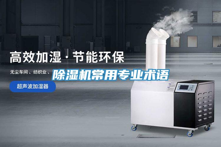 抖音成人版下载常用专业术语