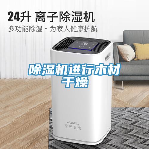 抖音成人版下载进行木材干燥