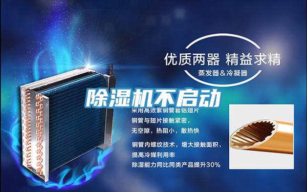 抖音成人版下载不启动