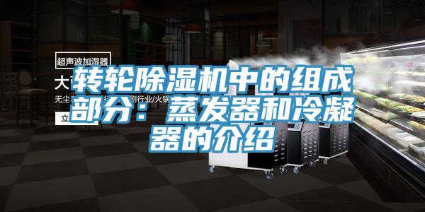 转轮抖音成人版下载中的组成部分：蒸发器和冷凝器的介绍