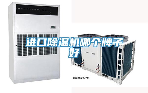 进口抖音成人版下载哪个牌子好