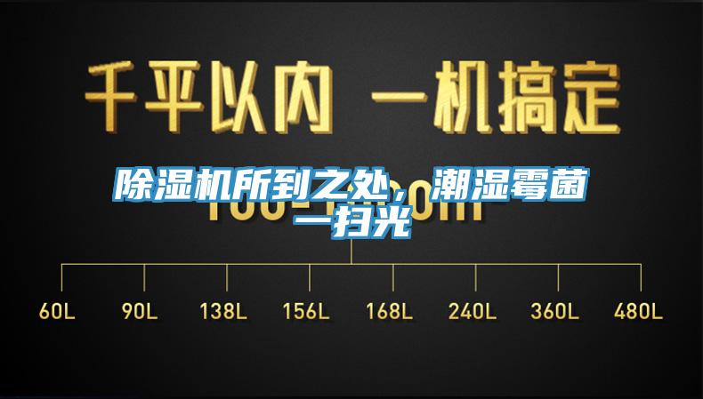 抖音成人版下载所到之处，潮湿霉菌一扫光