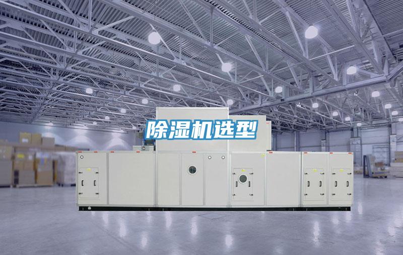 抖音成人版下载选型