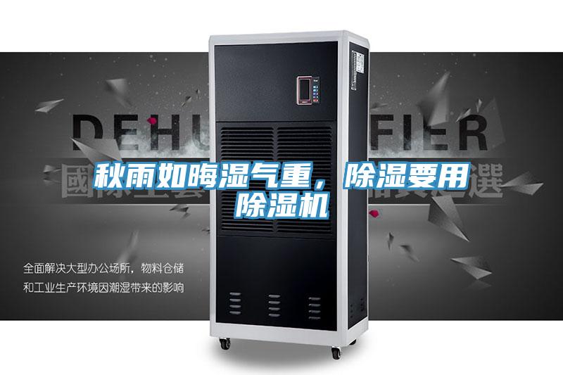 秋雨如晦湿气重，除湿要用抖音成人版下载