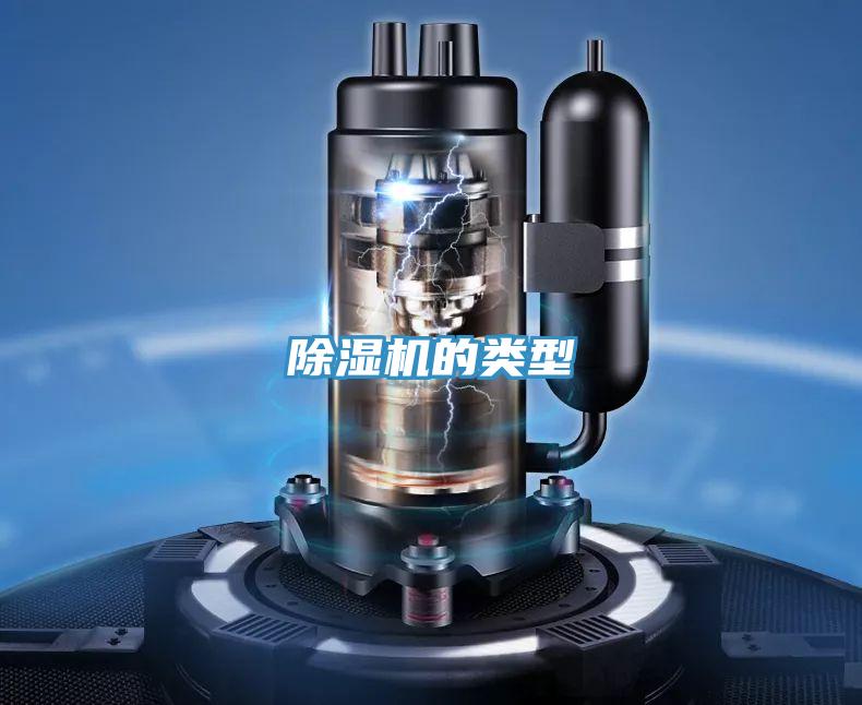 抖音成人版下载的类型