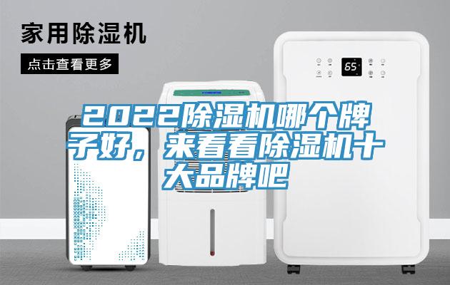 2022抖音成人版下载哪个牌子好，来看看抖音成人版下载十大品牌吧