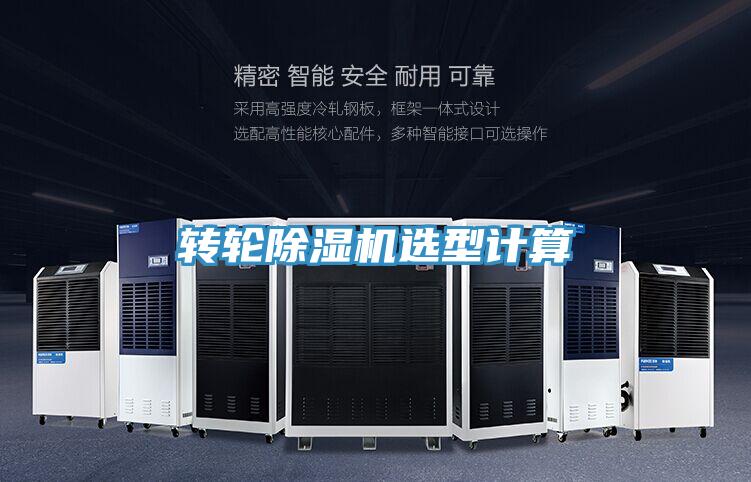 转轮抖音成人版下载选型计算