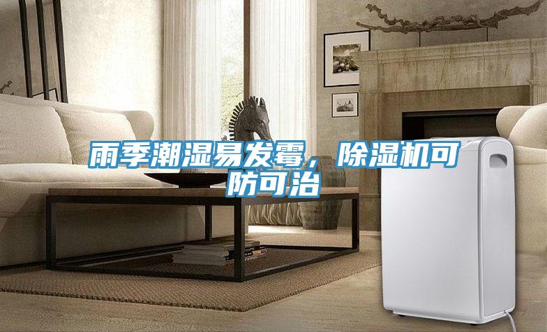 雨季潮湿易发霉，抖音成人版下载可防可治