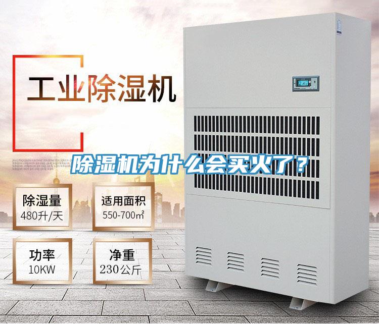 抖音成人版下载为什么会买火了？