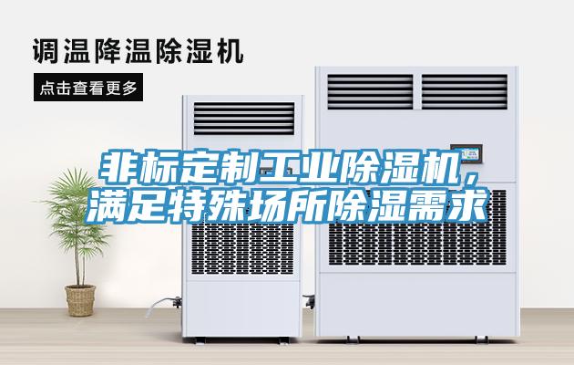 非标定制工业抖音成人版下载，满足特殊场所除湿需求