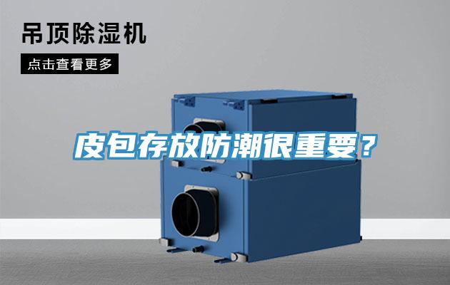 皮包存放防潮很重要？