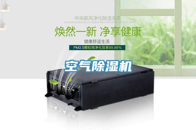 空气抖音成人版下载