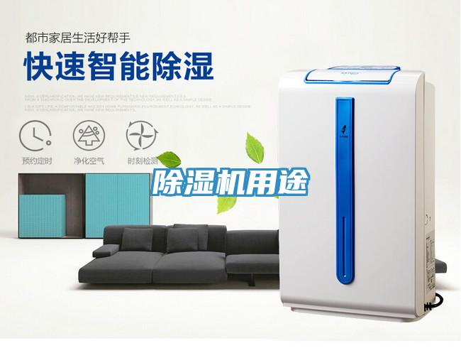 抖音成人版下载用途