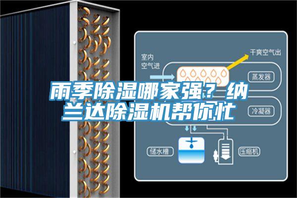 雨季除湿哪家强？纳兰达抖音成人版下载帮你忙