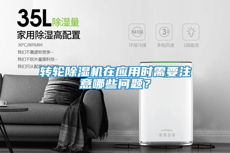 转轮抖音成人版下载在应用时需要注意哪些问题？