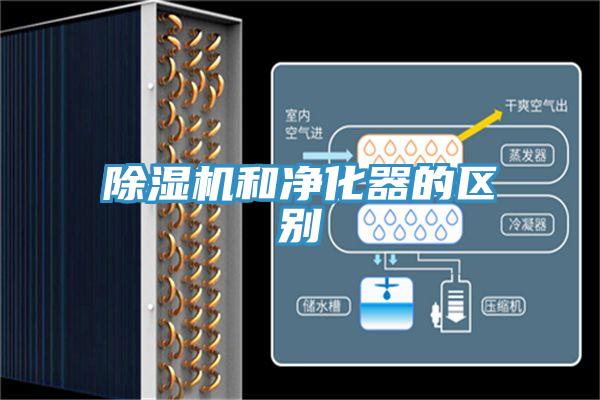 抖音成人版下载和净化器的区别