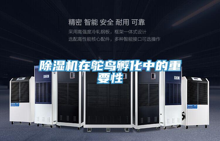 抖音成人版下载在鸵鸟孵化中的重要性