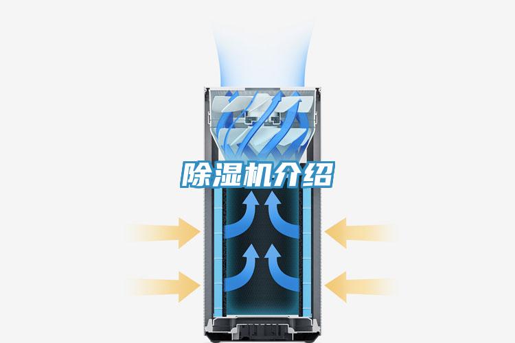 抖音成人版下载介绍