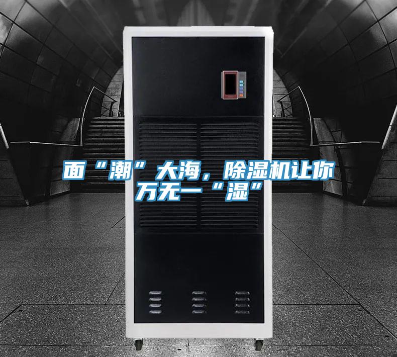 面“潮”大海，抖音成人版下载让你万无一“湿”