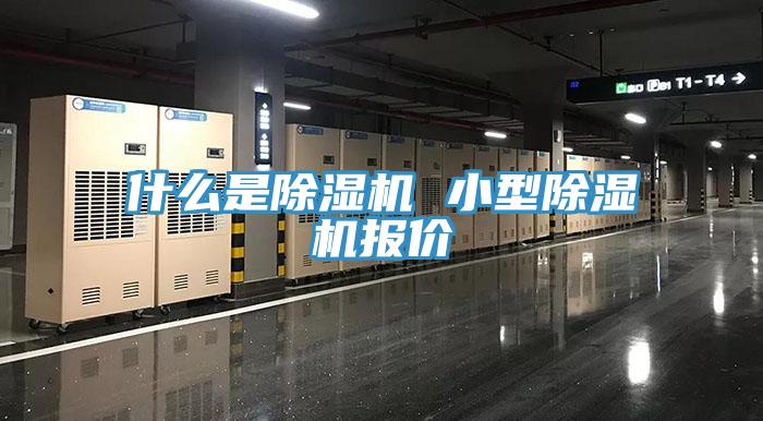 什么是抖音成人版下载 小型抖音成人版下载报价